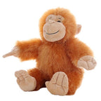 Coffret Petit Rêveur